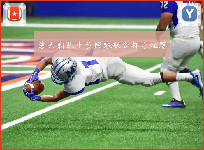 意大利队止步网球联合杯小组赛