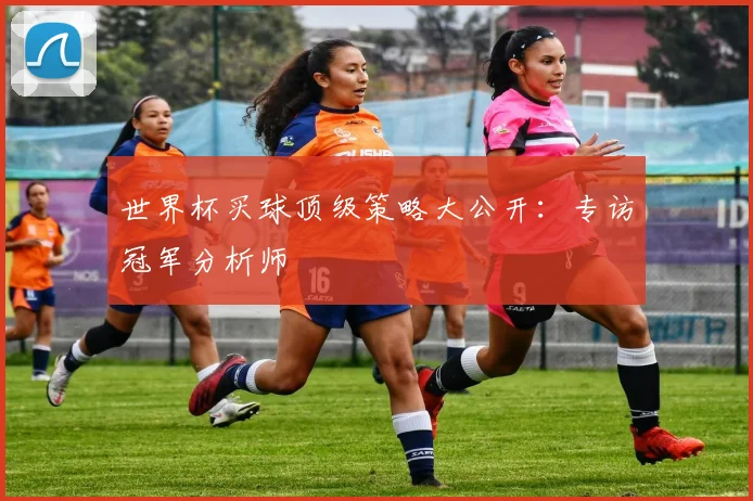 世界杯买球顶级策略大公开：专访冠军分析师