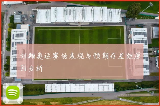 刘翔奥运赛场表现与预期存差距原因分析