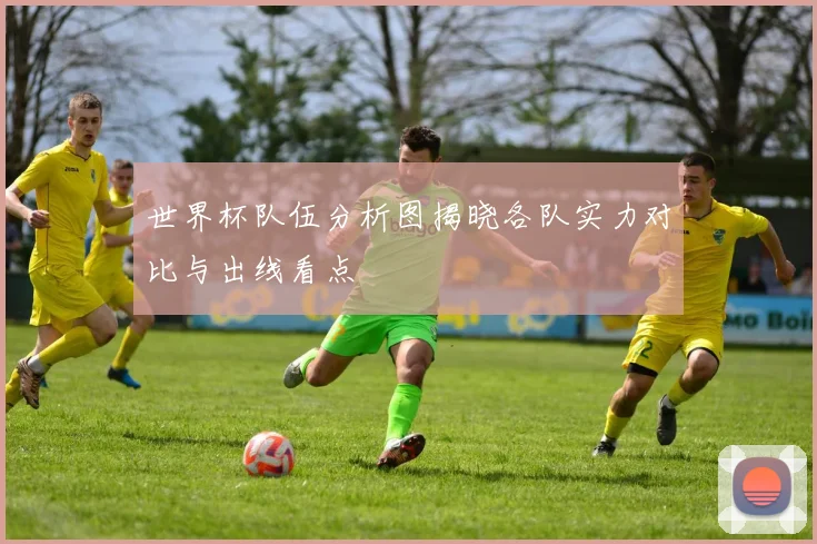 世界杯队伍分析图揭晓各队实力对比与出线看点