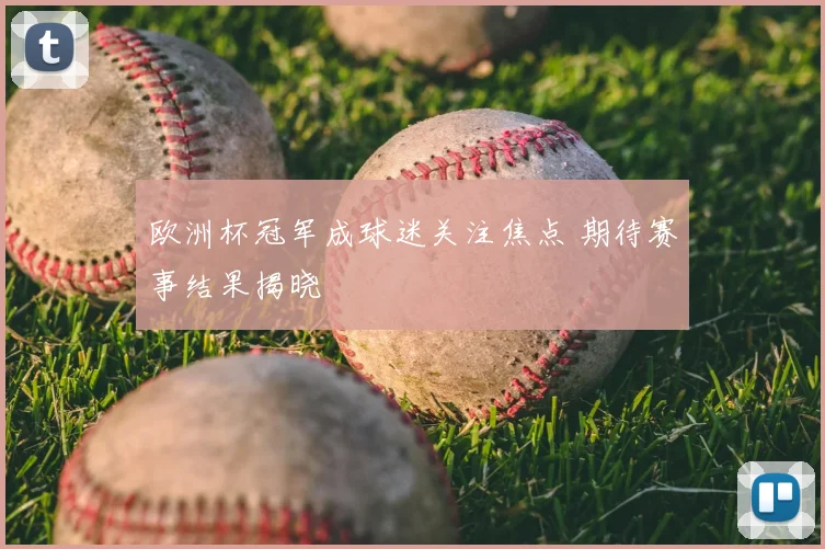 欧洲杯冠军成球迷关注焦点 期待赛事结果揭晓