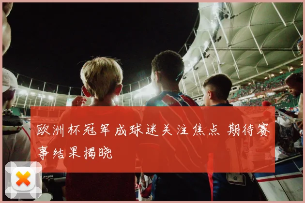 欧洲杯冠军成球迷关注焦点 期待赛事结果揭晓